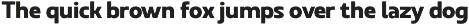 Ridtype Pro preview