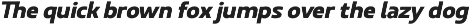 Ridtype Pro preview