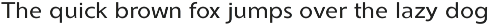 Ninova preview