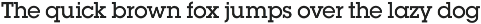 Square Serif preview