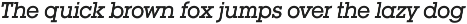 Square Serif preview