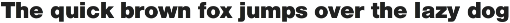 Foundation Sans preview