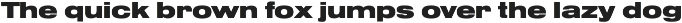 Foundation Sans preview