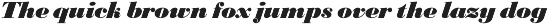 Bodoni FS preview