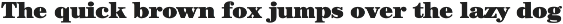 Century Modern FS preview