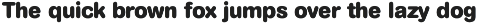 Craft Rounded preview