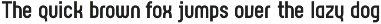 Rotundus preview