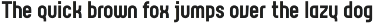 Rotundus preview