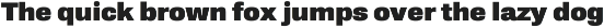 Sixta preview