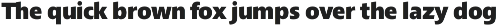 Croma Sans preview