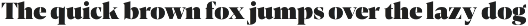 Contane preview