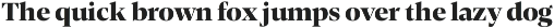 Contane Text preview