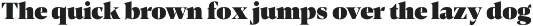 Contane Text preview