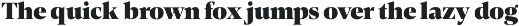 Contane Text preview