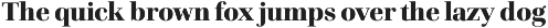 Cardillac Text preview