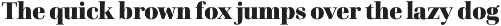 Cardillac Text preview