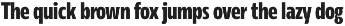 Rleud Condensed preview