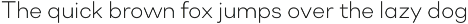 Soin Sans Neue preview