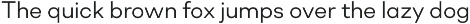 Soin Sans Neue preview
