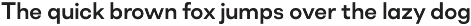 Soin Sans Neue preview