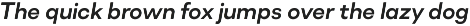 Soin Sans Neue preview