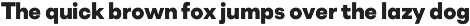 Soin Sans Neue preview