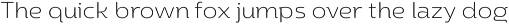 Yotin preview
