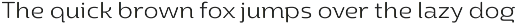 Yotin preview