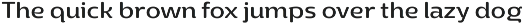 Yotin preview