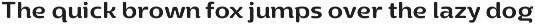 Yotin preview