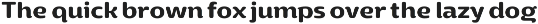 Yotin preview