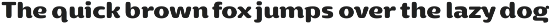 Yotin preview