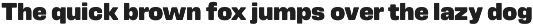 Amsi Grotesk preview