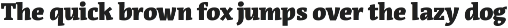 Acuta preview