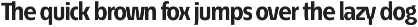 Écono Sans Pro preview