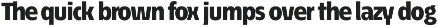 Écono Sans Pro preview