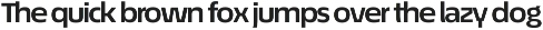 Écono Sans Pro preview