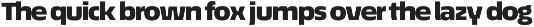 Écono Sans Pro preview