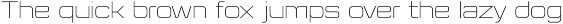 Flat Sans Extended preview
