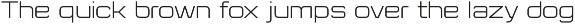 Flat Sans Extended preview