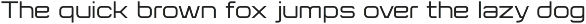 Flat Sans Extended preview