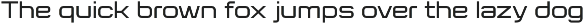 Flat Sans Extended preview