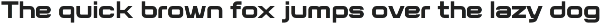 Flat Sans Extended preview