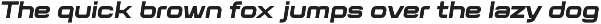 Flat Sans Extended preview