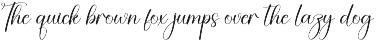 Photoshoot | Script Font preview