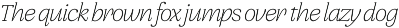 Brokolino Text preview