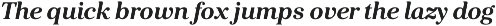 Kostic Serif preview