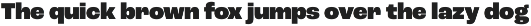 Roc Grotesk preview