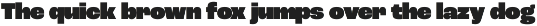 Roc Grotesk preview