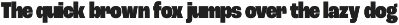 Roc Grotesk preview
